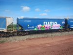 RUMO HTT-352986-0